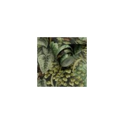 Papel Tapiz Cascading Gardens 91363
